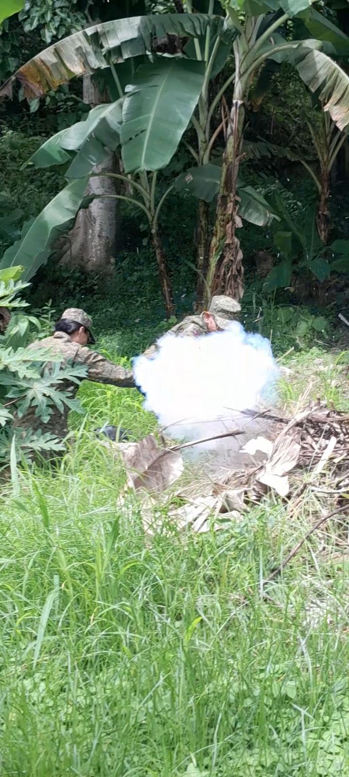 Activity 3